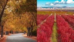 خريف لبنان غير …7 ضيع ساحرة لازم تشوفوها