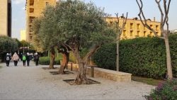 بتعرفوا فيه حديقة بدخول مجاني؟ تعرفوا ع حديقة جونية العامة