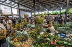 سوق الطيب نقل ع موقع جديد ببيروت! هون التفاصيل