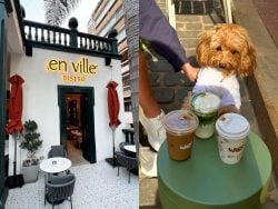 22 New Spots in Beirut That Should Be On Your 2026 Bucketlist