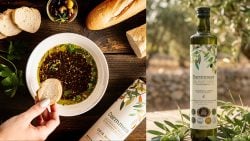 زيت الزيتون الجنوبي يلمع عالمياً… 3 ميداليات ذهبية ورجعة عالسوق!