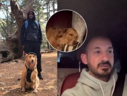 شاب لبناني ترك بيته بالضاحية… كرمال كلبته!