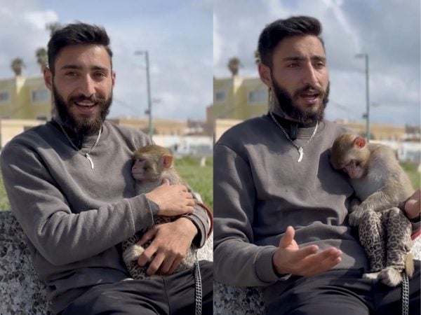 هالشب اللبناني بقي بالجنوب كرمال قردته ساندرا!