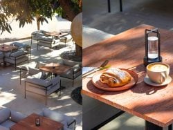 17 Newly Opened Spots to Support Around Lebanon