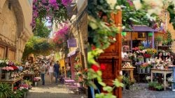 أجمل سوق ورد جاية ع البترون هالربيع (الدخول مجاني)