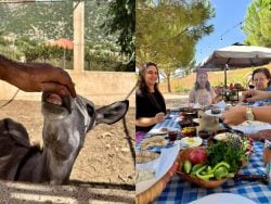 بتعرفوا عن مزرعة الحمير بجبل لبنان؟ اكتشفوا هون