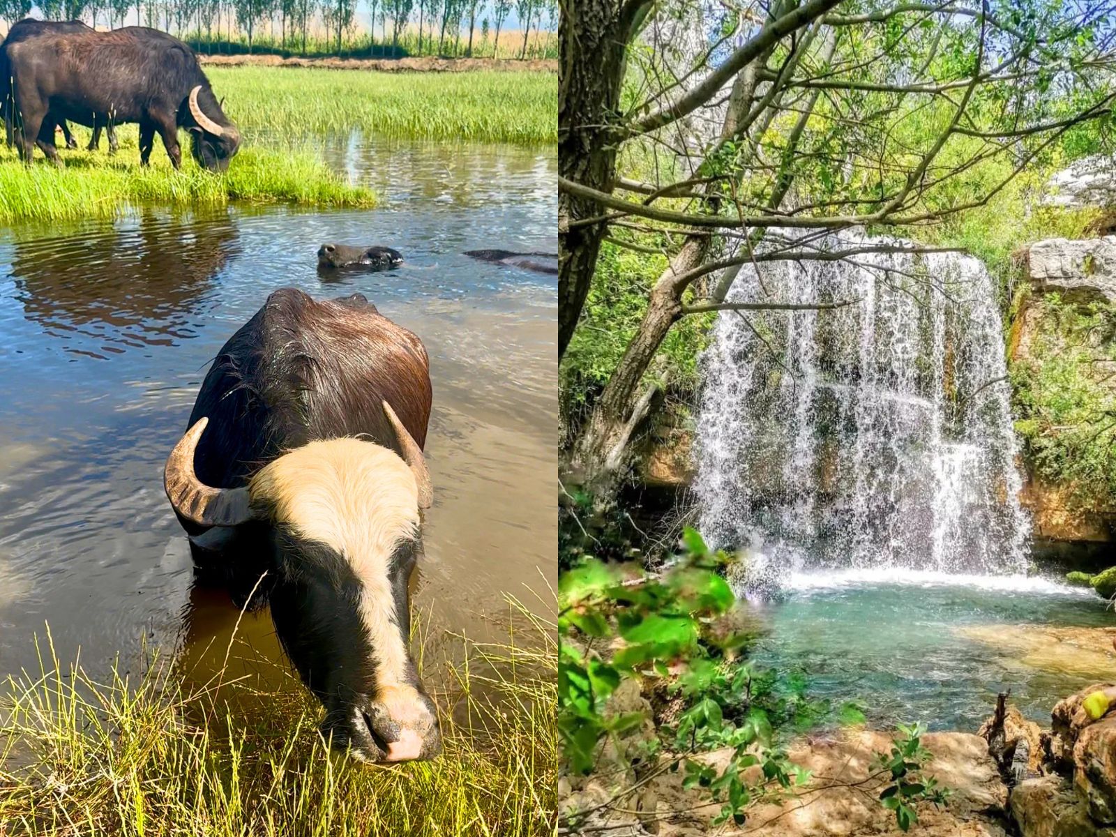 7 Beautiful Spring Spots to Visit Before June in Lebanon » Beirut.com