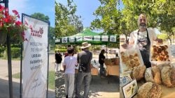 A Local Gem for Those in the Know: The Tripoli Urban Farmers Market