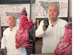 Jeita's "Carneo" Restaurant Under Fire For Cooking Porcupine Meat