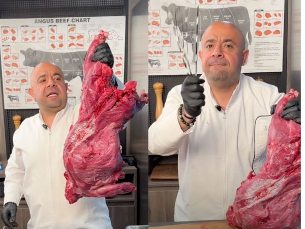 Jeita's "Carneo" Restaurant Under Fire for Cooking Porcupine Meat