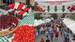 مهرجان الكرز حمّانا: سوق، قطاف الكرز، وأجواء الصيف (الدخول مجاني)
