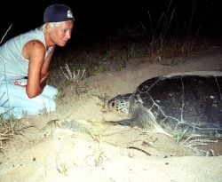 5 New Sea Turtle Nests Mark Conservationist Mona Khalil’s Enduring Legacy