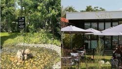 Garden Vibes, a Little Pond, and BUNNIES at This Naccache Café!