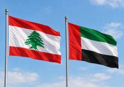 الإمارات رح تفتتح مركز فيزا إلكترونية ببيروت الشهر الجايي